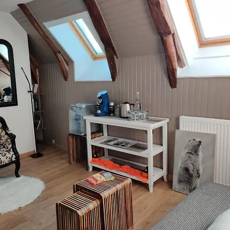 Chambres D'hotes A Nectaire - Chien Bienvenus - Randonnee Et Nature בית הארחה סן-נקטר