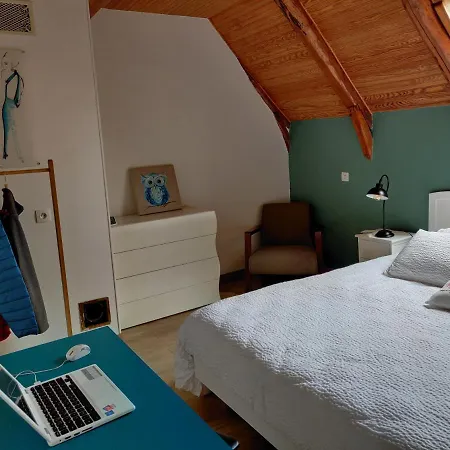 Chambres D'hotes A Nectaire - Chien Bienvenus - Randonnee Et Nature סן-נקטר
