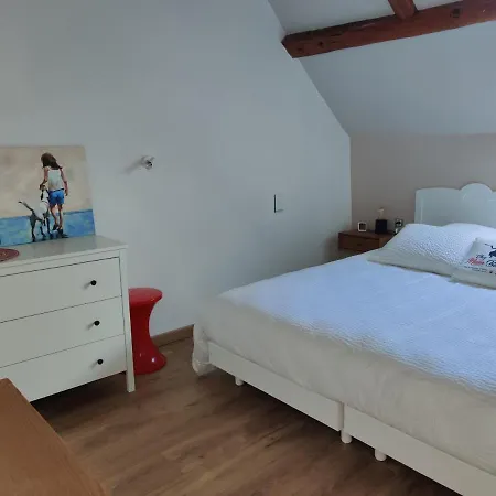Chambres D'hotes A Nectaire - Chien Bienvenus - Randonnee Et Nature * סן-נקטר