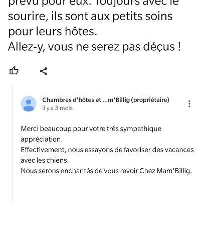 Chambres D'hotes A Nectaire - Chien Bienvenus - Randonnee Et Nature סן-נקטר